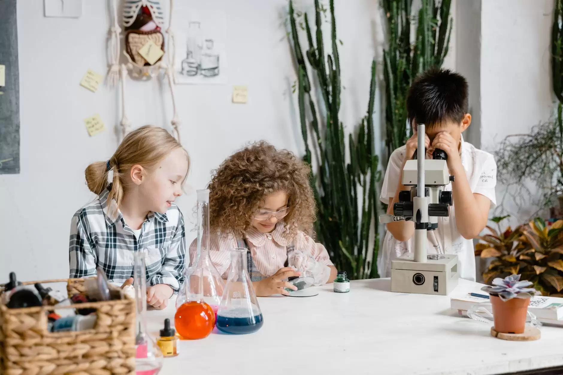 AN EXPERIMENT IN EDUCATION – SYBIL MARSHALL