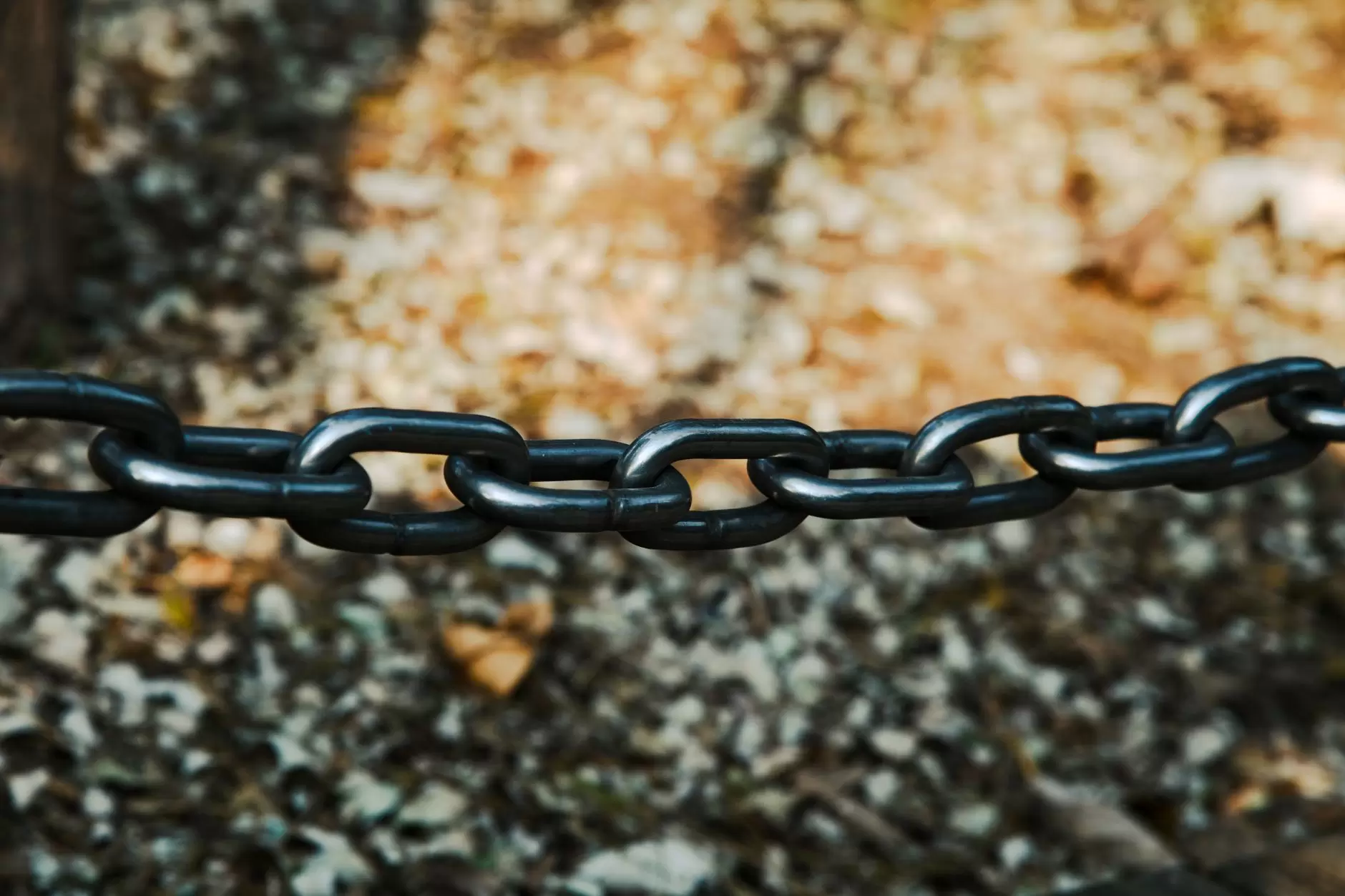 CBSE Important Links