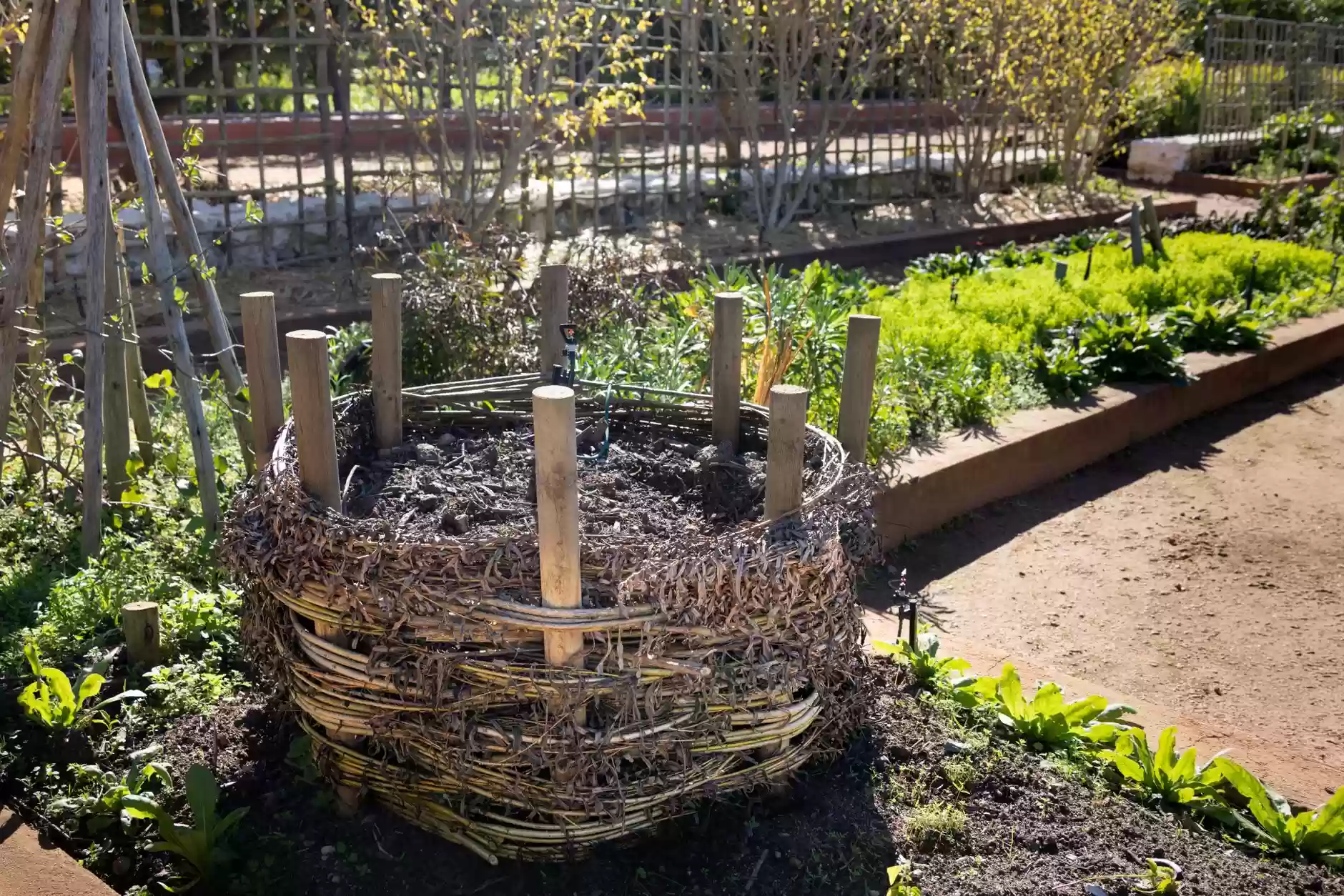Creative Facilitation Techniques – Permaculture