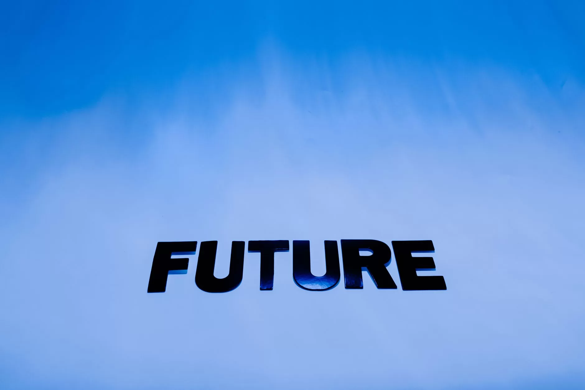Five minds for the future