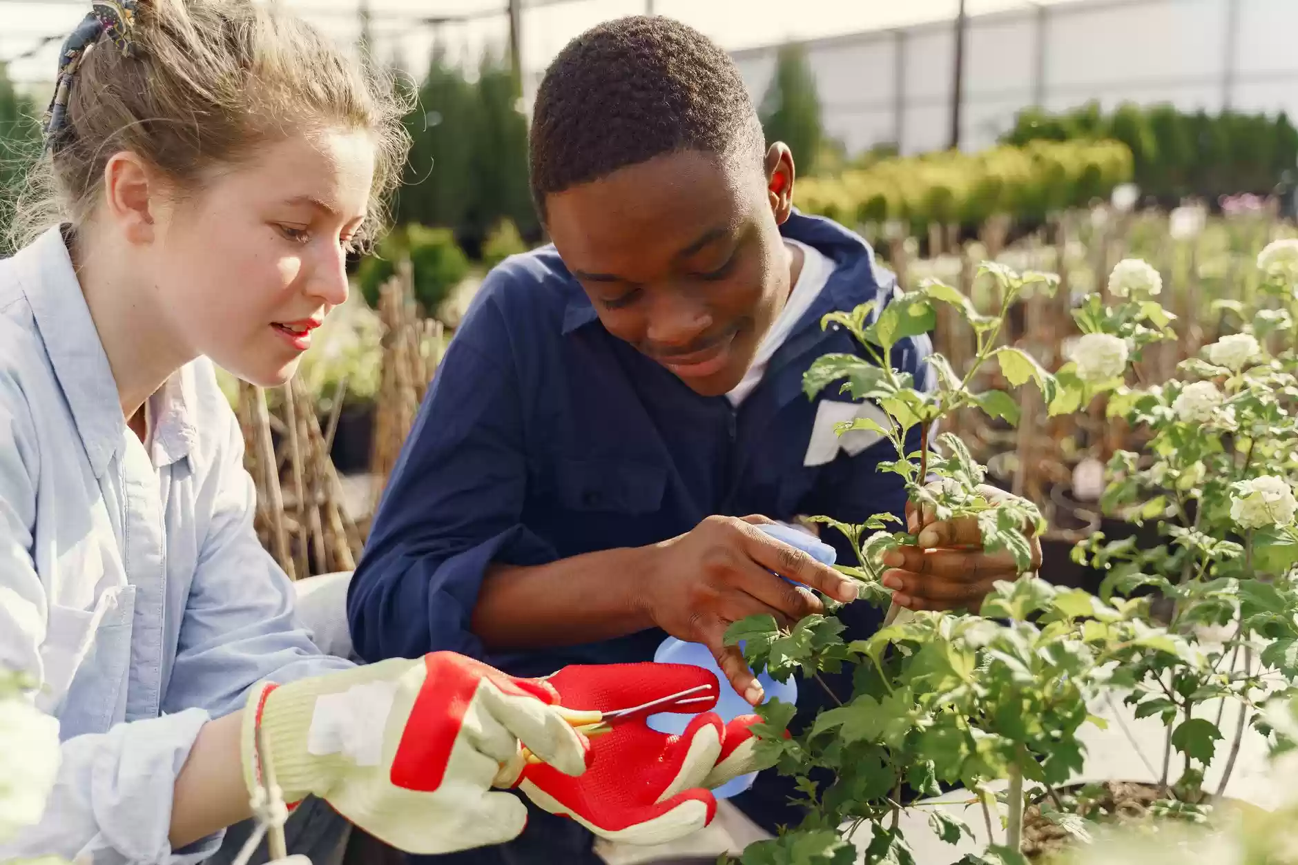 Garden Based Learning