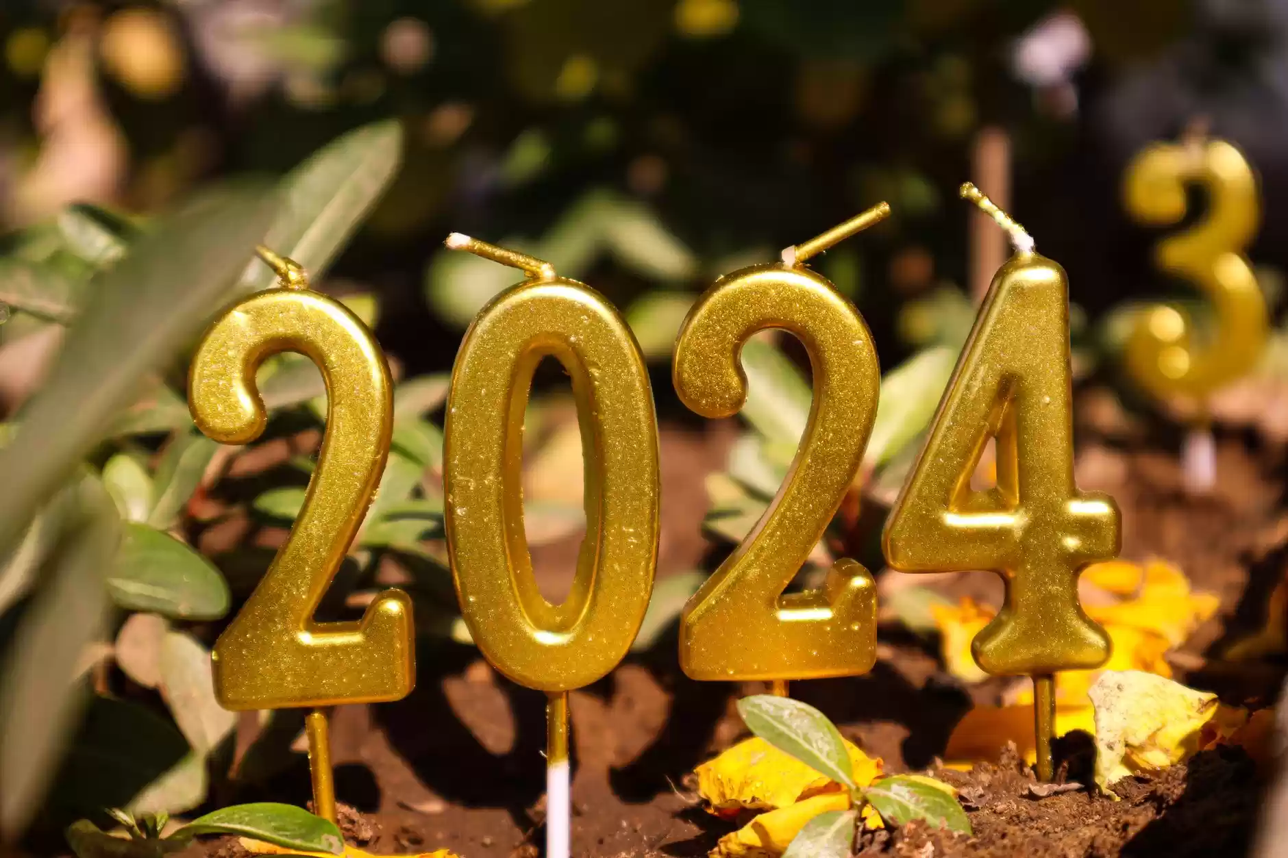 Happy new year
