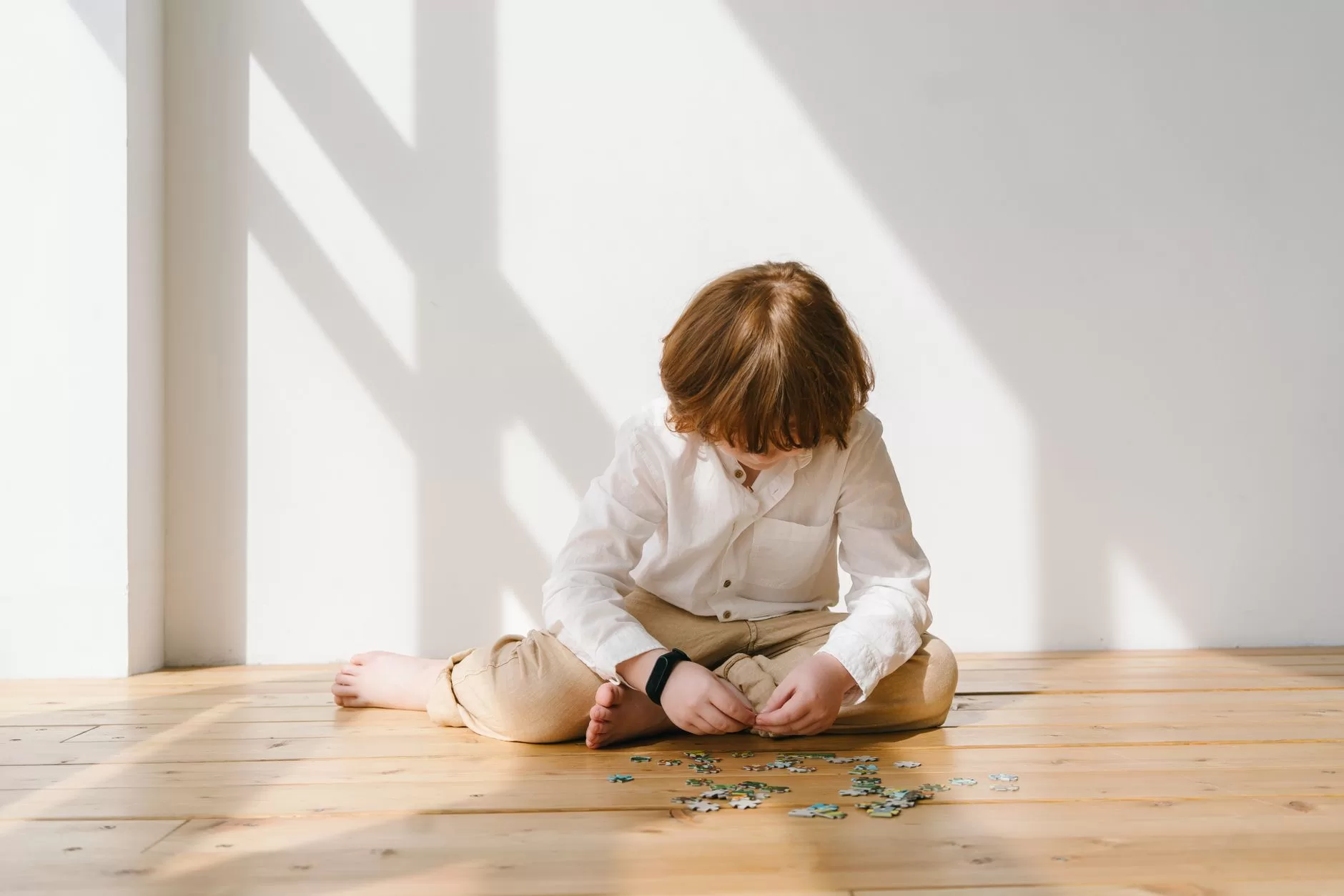 Increasing the Problem-Solving Skills of Students with Developmental Disabilities Participating in General Education