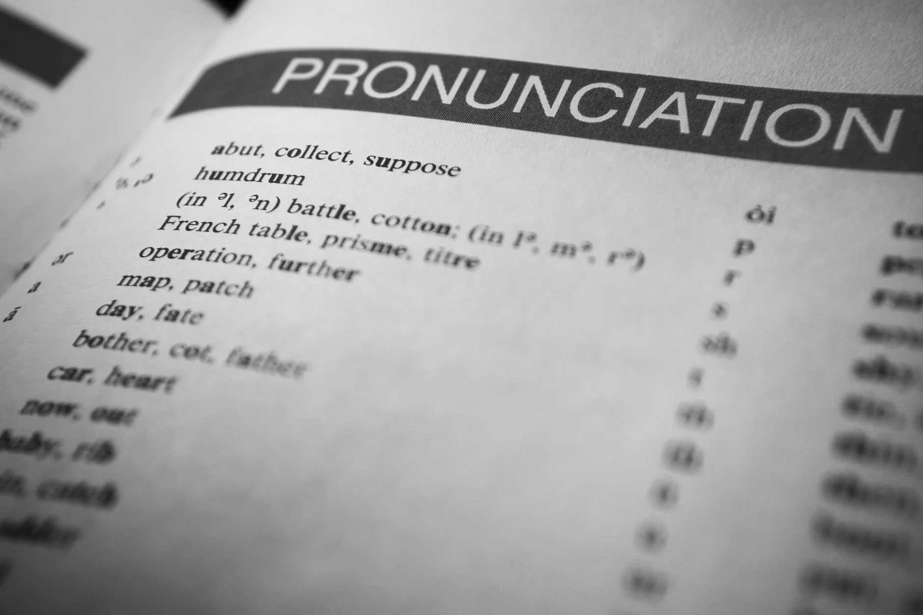 Learning New Vocabulary Words