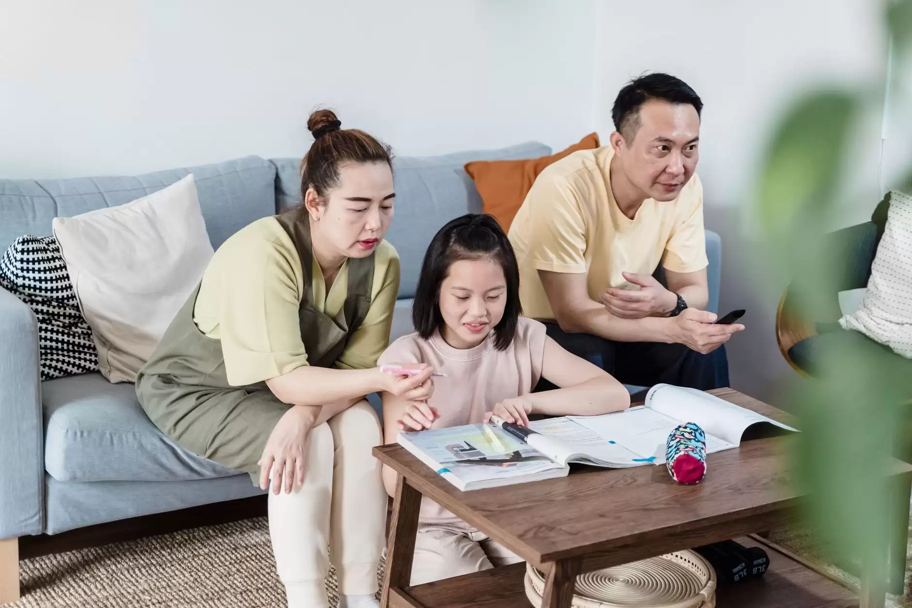 Peer- and Parent-Assisted Learning: in Reading, Writing, Spelling and Thinking Skills & in Maths, Science and ICT