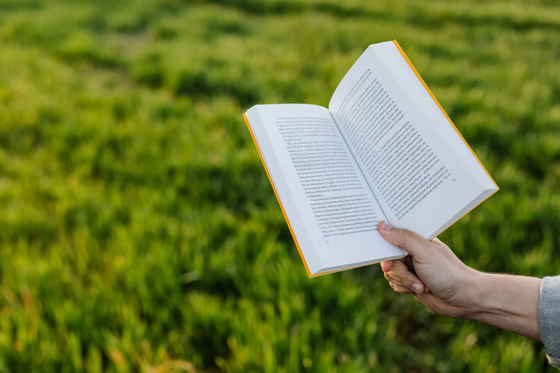 Philosophy of education as a knowledge field