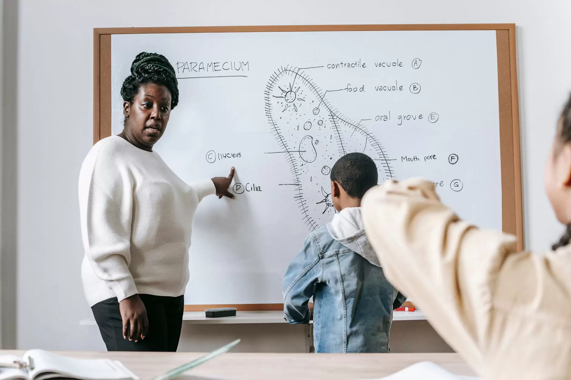 Science Lesson Plans