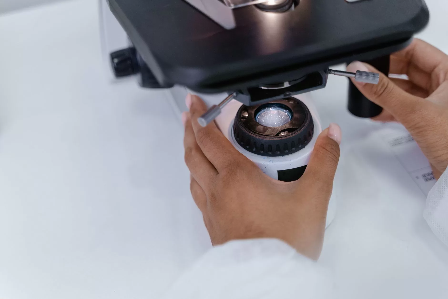 Science and Insight