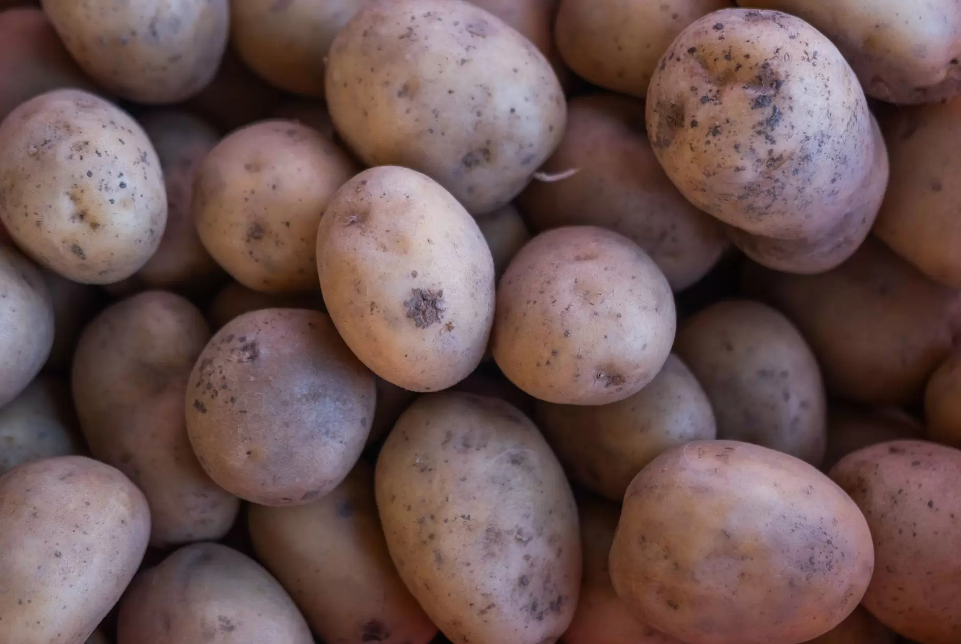 Smell of Potatoes