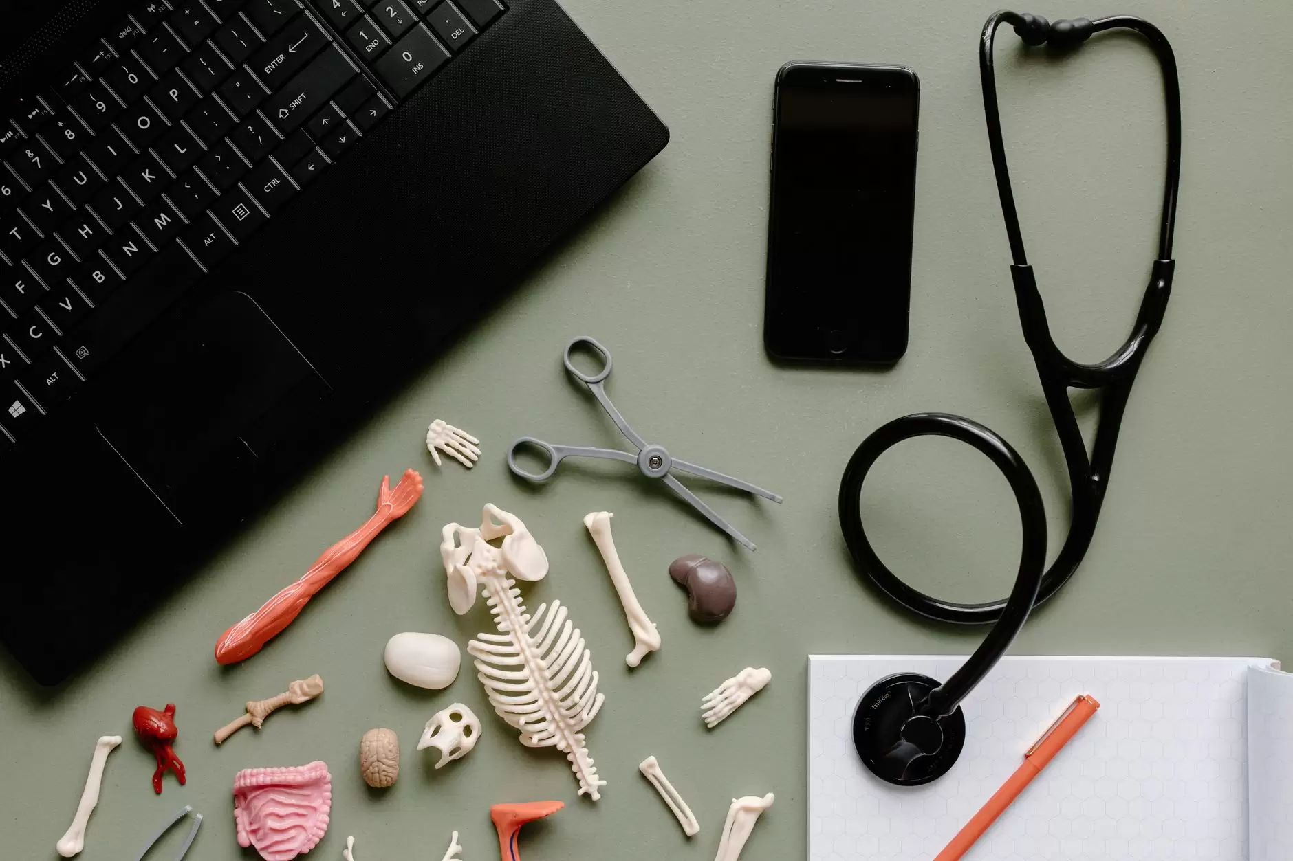 Students – Absent on Medical grounds