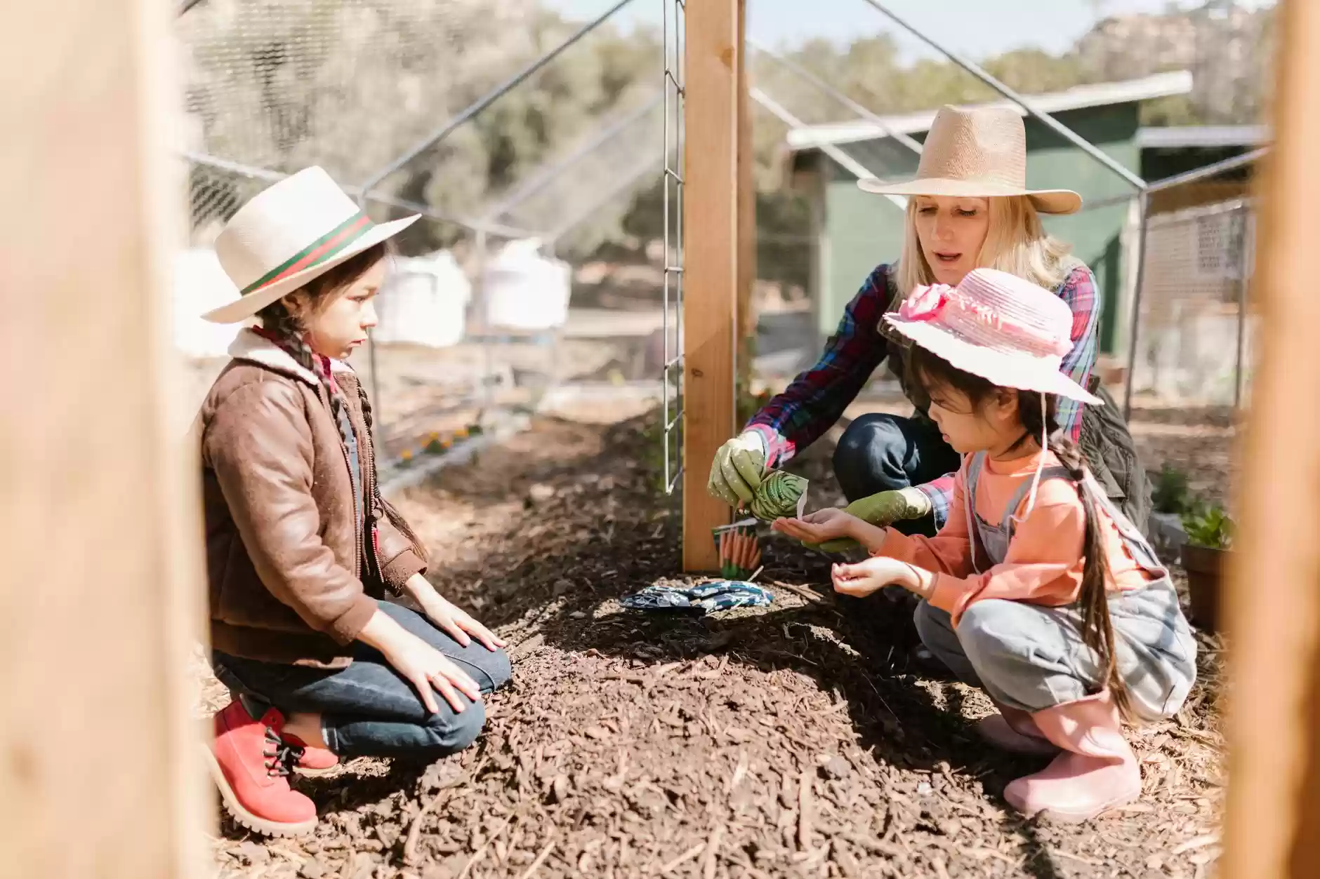 Teaching Children About the Climate Emergency Without Causing Climate Anxiety: A Careful Balance