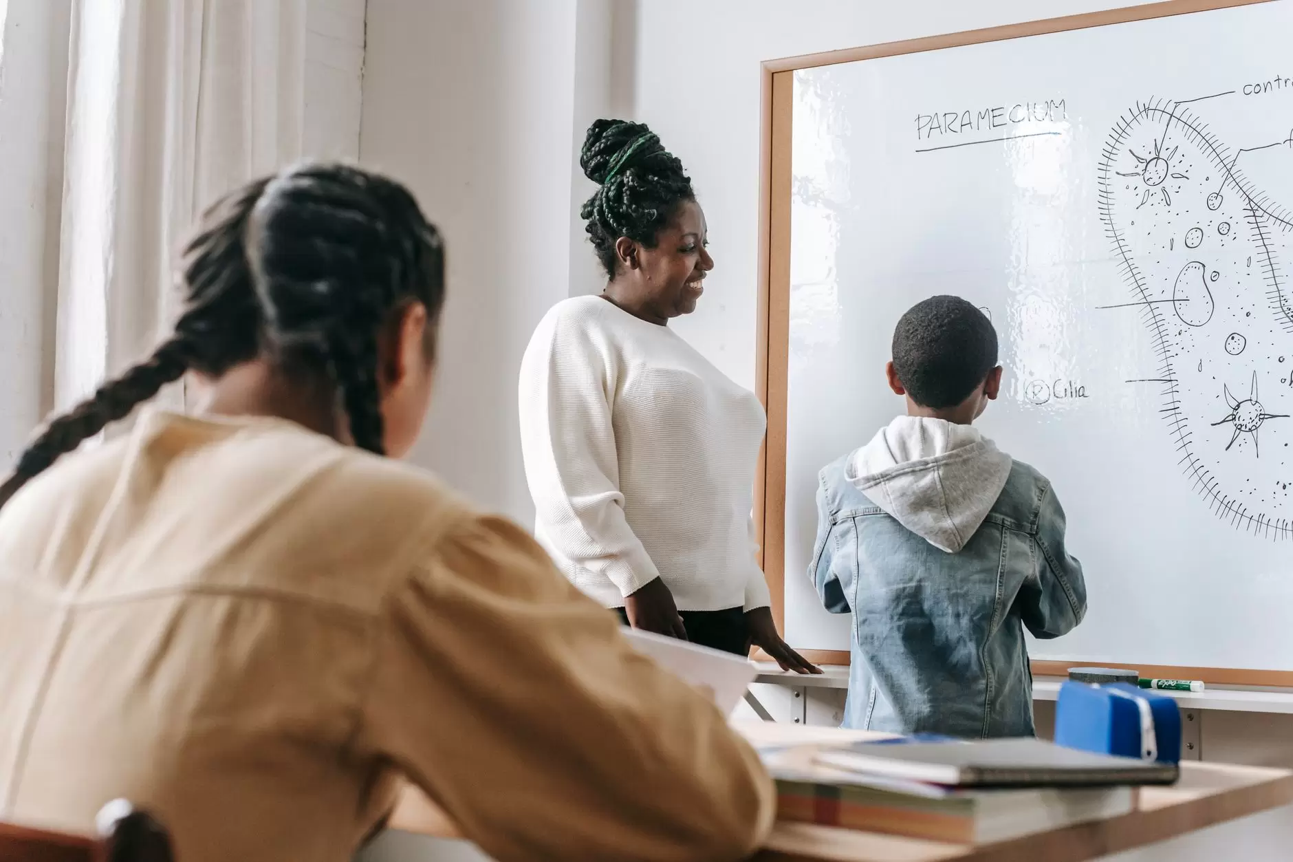 Teaching Styles
