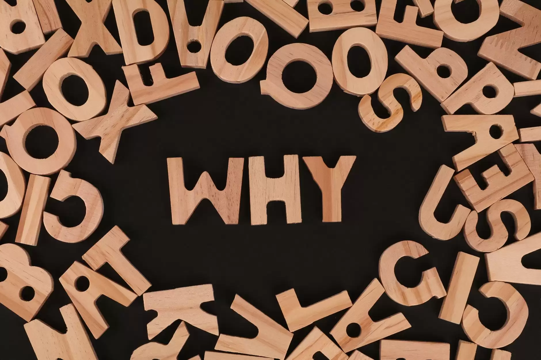 The Art of Asking Questions
