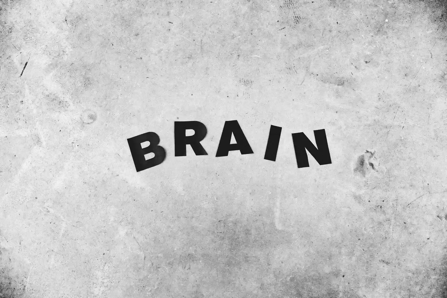 The Awesome Brain