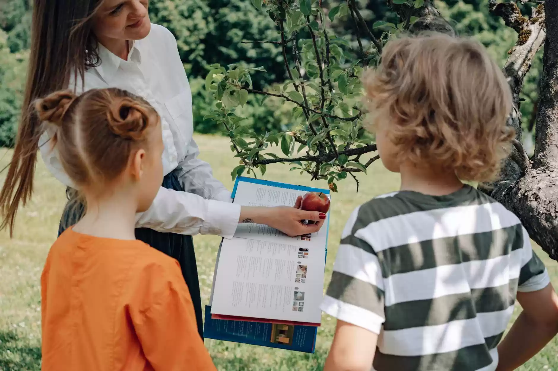 The Best Apple Science Activities for Grades PreK-2