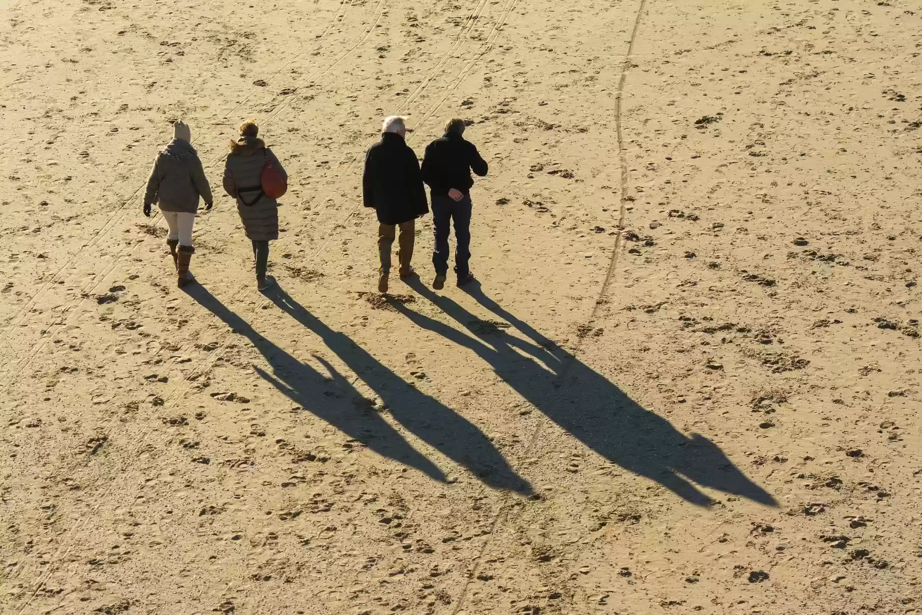 The Long Shadow of the First Year: How Early School Experiences Shape Learning Trajectories