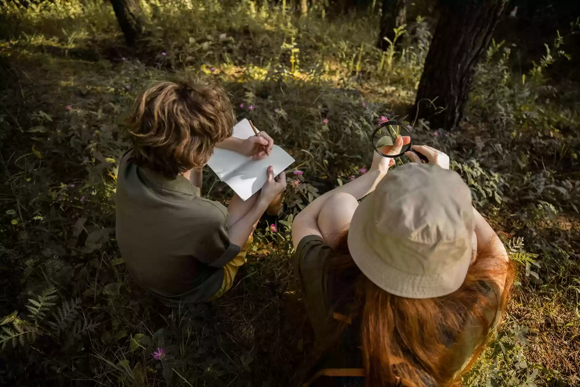 The Role of Study Trips in Education