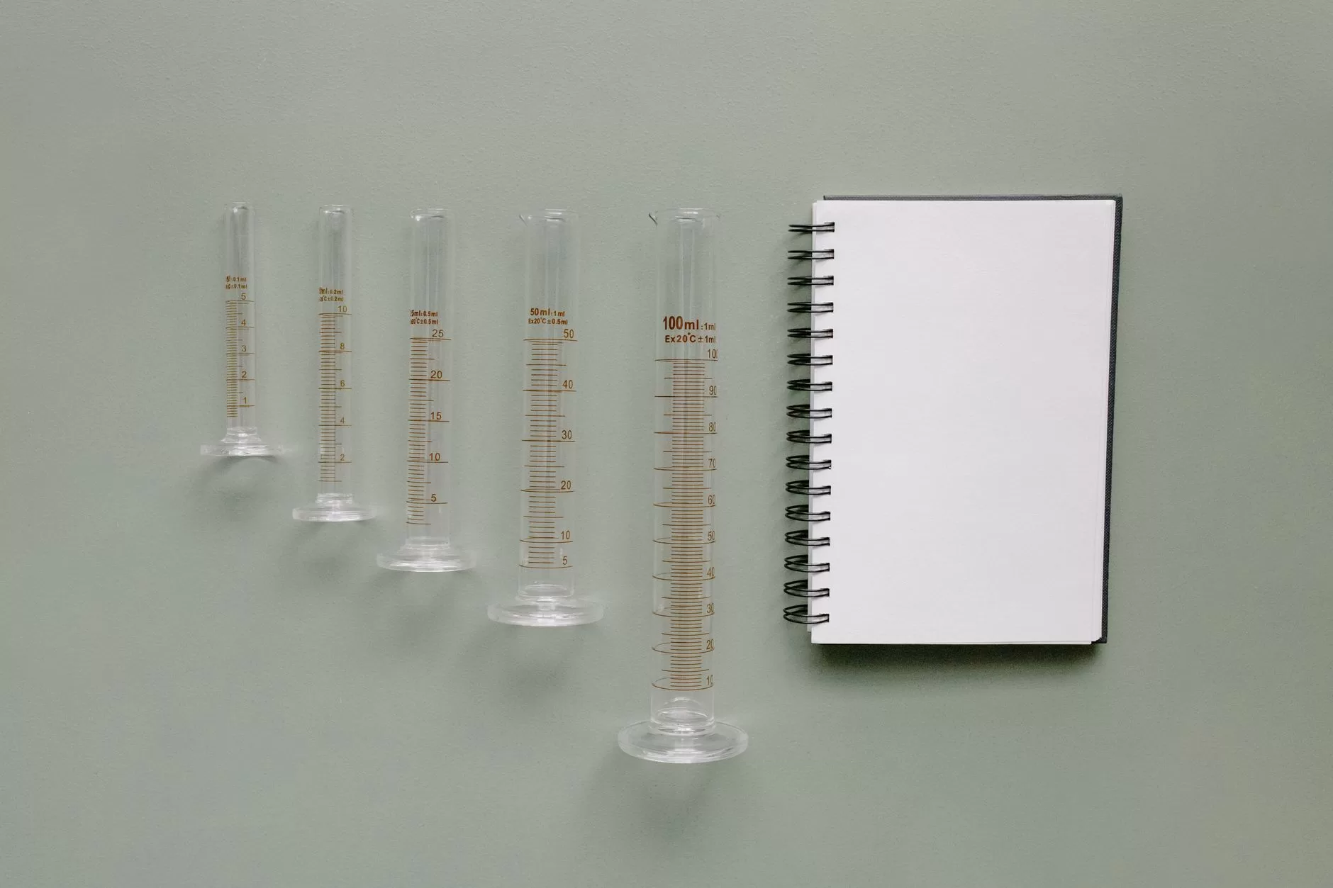 Volume 2 Month 11 Day 6 – The Science of Reading