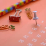 Volume 2 Month 9 Day 11 – Teamwork – Hare and Tortoise revised