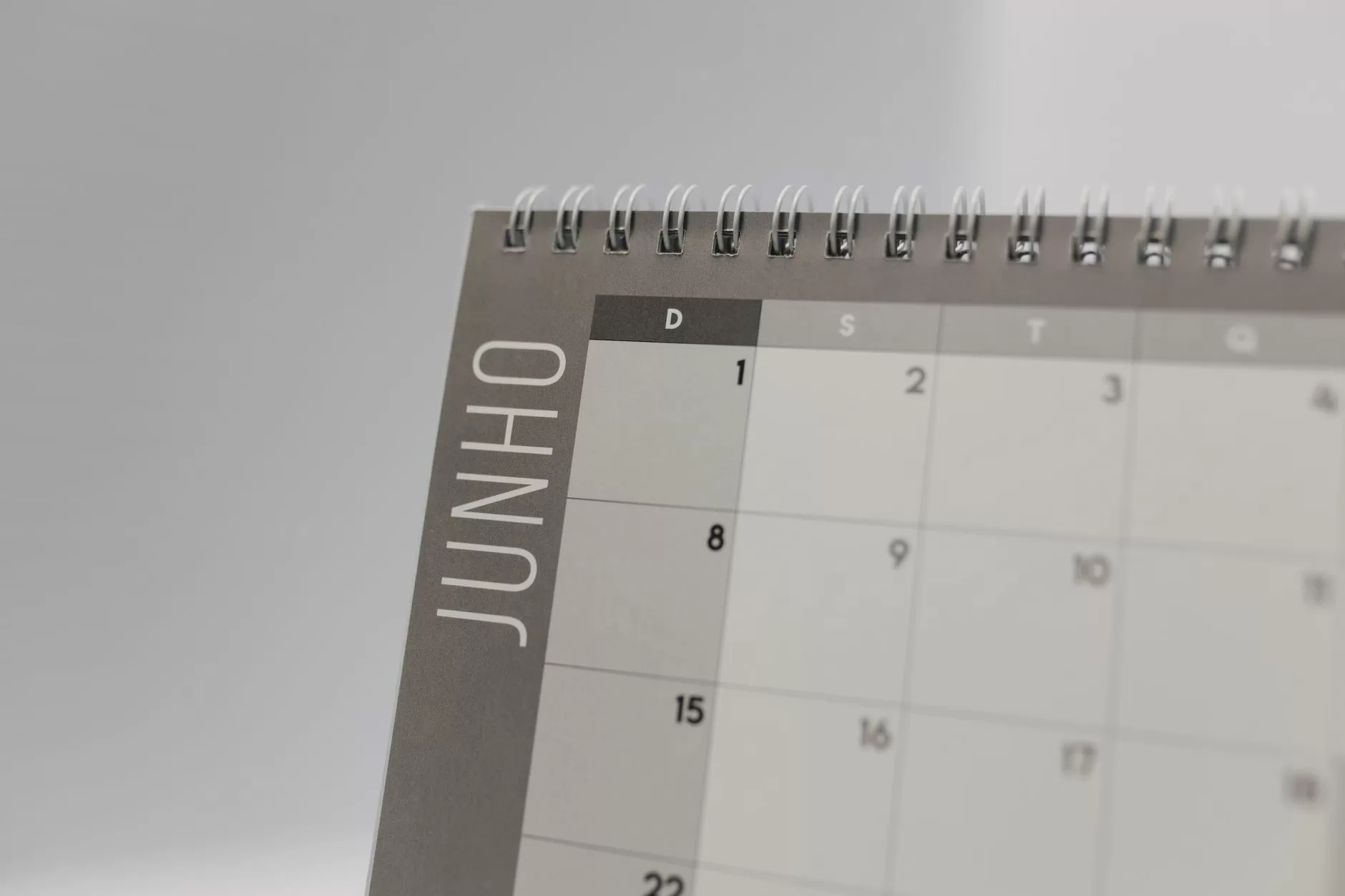 Volume 3 Month 2 Day 15 – Persistence and success