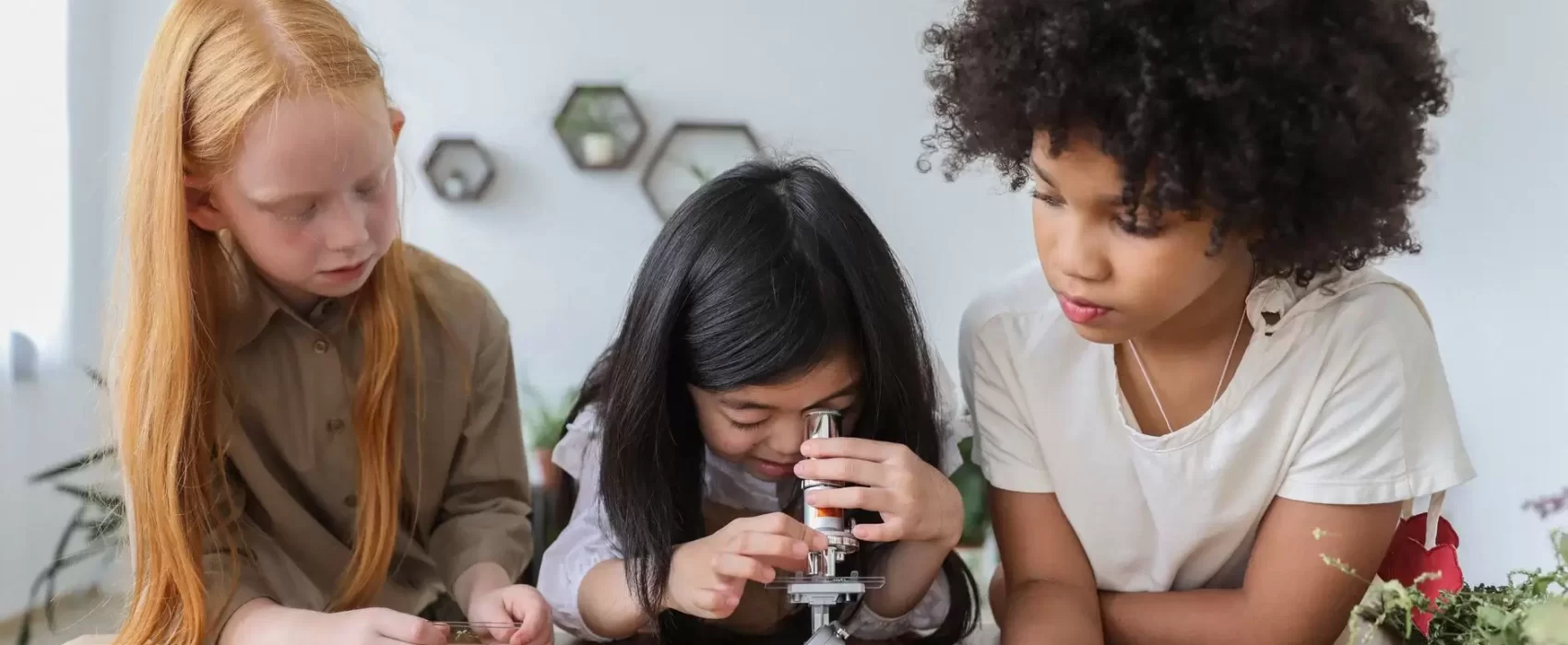 Girls in STEM: Why the Gap Opens in Secondary School and How Teachers Can Close It